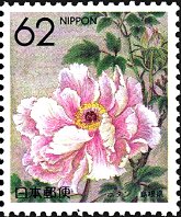 ボタンの花（島根、1990年）