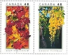 カナダの国立公園の紅葉と銀杏