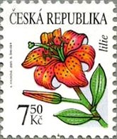 ユリの花(チェコ、2005年）