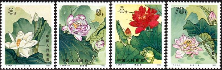 蓮（ハス）の花（中国､1980年,T54）　白蓮、碧○雪、仏座蓮、嬌容三変