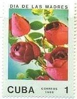 真紅のバラ（キューバ）