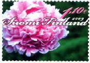 ボタンの花（フィンランド、2009)