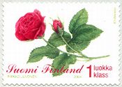真紅のバラの花（フィンランド、2004年）