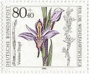 Limodorum属の一種（Limodorum abortivum、ドイツ、1984年）　ランの花
