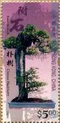 朴樹の盆栽（中国香港、2003年）