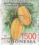 スターフルーツ(Averrhoa carambola,インドネシア) 