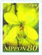 ラーチャプルック （日タイ修好120周年、2007年）　ランの花