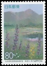 仙石原湿原植物群落(神奈川、1996年）