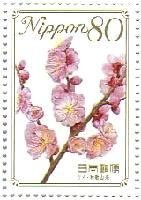 梅の花（和歌山県）