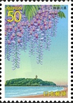 神奈川県の花 2004 フジと湘南海岸から望む江の島