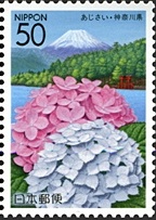 神奈川県の花 2004 アジサイと箱根・芦ノ湖と富士山