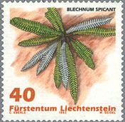 シダ（Blechnum spicant ）　リヒテンシュタイン　1992年