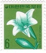 鉄砲ユリ（韓国、1975年）