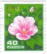 ムクゲ（韓国）