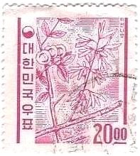 meesun　blossom（韓国）