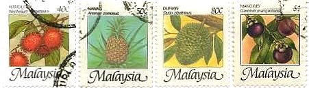 ランブータン(学名：Nephelium lappaceum)、パイナップル（Pineapple、Ananas comosus)、 ドリアン(Durio zibethinus MURR.)、マンゴスチン（mangosteen、Garcinia mangostana L.) 