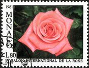 薔薇（モナコ、1981年）