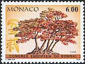 イロハモミジ（Acer palmatum,Japanese maple 、モナコ,1995年）