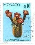 ハーゲオケレウス（Haageocereus、モナコ、1974年）　サボテン