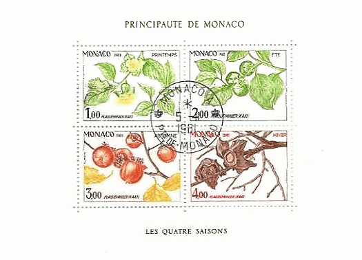 柿（Persimmon）の木の春夏秋冬（モナコ、1981年）