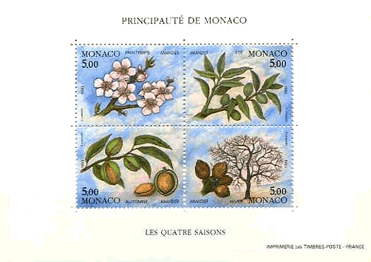 アーモンド（almond）の木の春夏秋冬（モナコ、1993年）