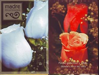キューバの母の日のバラ各種(2008年）　キューバでは過去含め凄く綺麗なバラが多い。