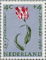 チューリップの花（オランダ、1960年）