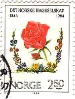 ノルウェーの種の保存・バラ　花