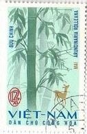 竹（ベトナム、1967年）　Arundinaria rolleana 