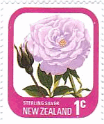 ニュージーランドのバラ・シリーズ　花　スターリングシルバー（sterling silver）