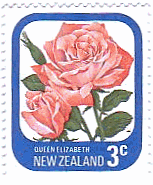 ニュージーランドのバラ・シリーズ　花　クイーン・エリザベス(Queen elizabeth th)