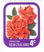 ニュージーランドのバラ・シリーズ　花　スーパースター（Super　star）