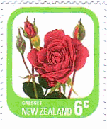 ニュージーランドのバラ・シリーズ　花　クレセット(Cresset)