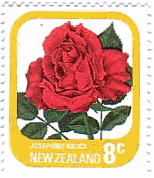 ニュージーランドのバラ・シリーズ　花　ジョセフィンブルース(Josephine Bruce）