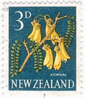 ソフォラ属(Kowhai Flowers ,Sophora sp.) 　ニュージーランド　マメ科