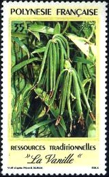 バニラ（vanilla、学名 Vanilla planifolia）とバニラ・ビーンズ