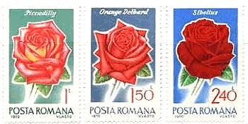 ルーマニアのバラ切手（1970年）　Iceberg Rose,Pink luster,Wiener charme,Piccadilly,Orange delbard,Sibelius
