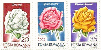 ルーマニアのバラ切手（1970年）　Iceberg Rose,Pink luster,Wiener charme