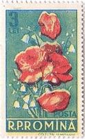 ケシの花とユリ（ﾙｰﾏﾆｱ、1956年）