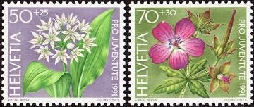 野生のニンニク（Ramsons、Allium ursinum)、ゲラニウム・シルヴァティクム(フウロソウ科、Geranium sylvaticum)：ヨーロッパアルプスの花