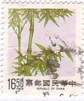 台湾の竹