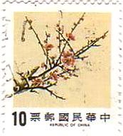 台湾の梅の花