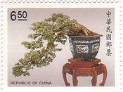 福建茶の盆栽（台湾）