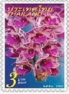 リンコスチリスギガンテア（日タイ修好120周年、2007年）　ランの花