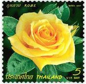 タイの黄色いバラの花