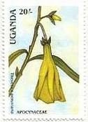 キバナキョウチクトウ（Thevetia peruviana）　ウガンダのランの花(1988年）　切手　