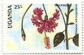 ウガンダのランの花(1988年）　切手　ハイビスカス（Hibiscus schizopetalus）
