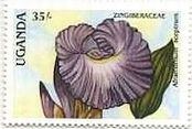 ウガンダのランの花(1988年）　切手　ショウガ科の花（Aframomum sceptrum）