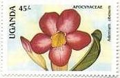 ウガンダのランの花(1988年）　切手　アデニウム・オベスム（Adenium obesum）