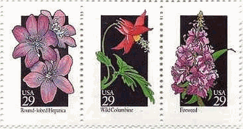 スハマソウ（Ranunculaceae）、オダマキ（Aquilegia）、雑草